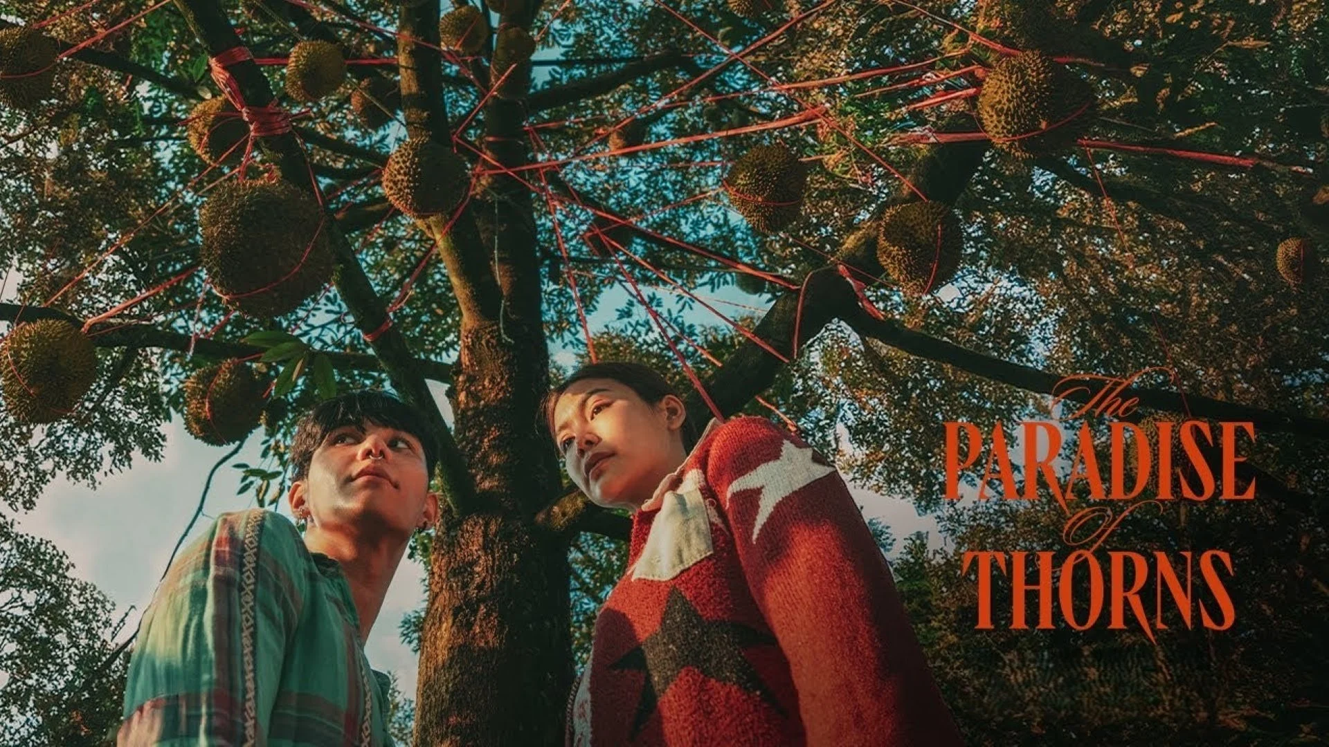 Thiên Đường Quả Báo - The Paradise of Thorns